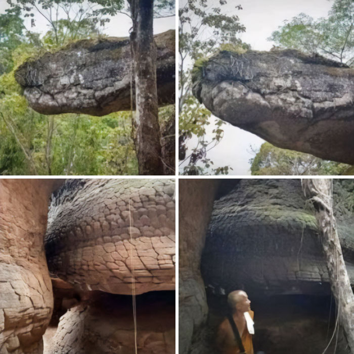 Four images of natural rock formations resembling a large snake's head and body, creating eerie, large things.