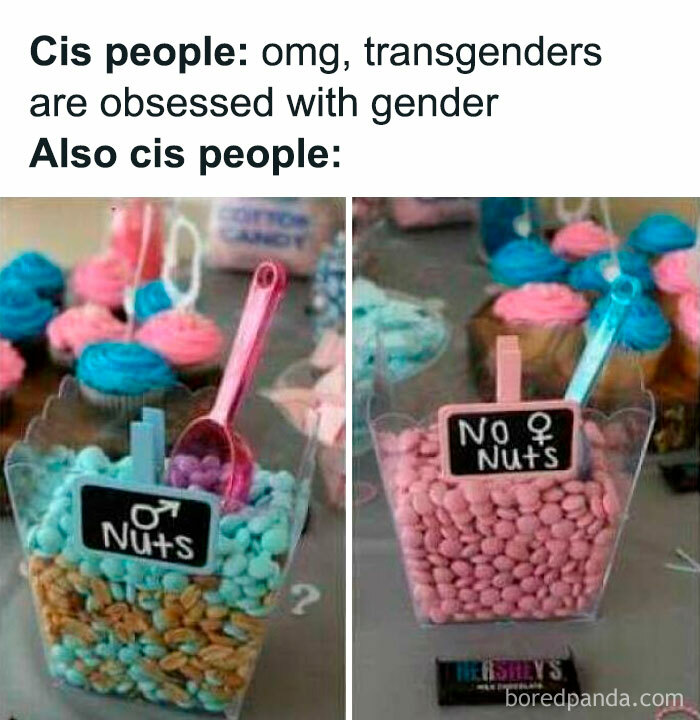 A meme contrasting cis people's views on gender, showing nuts labeled for gender reveal moments, inviting judgement.