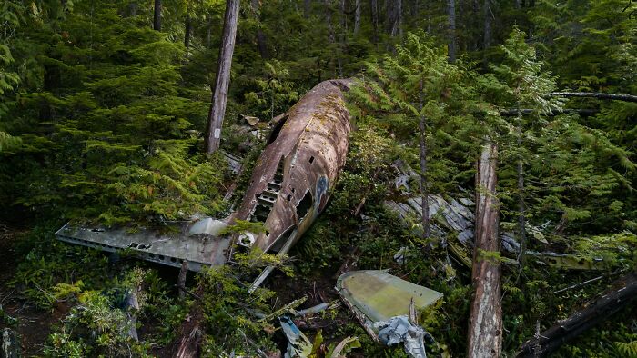 Wreckage of an old airplane scattered in a dense forest, overgrown with trees and plants. This image shows unusual ways people have lost their lives.