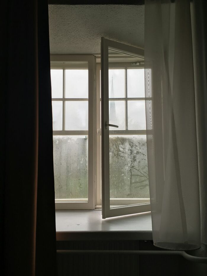 A window with one pane open, looking out onto a misty, grey day. This image represents mysteries.