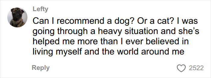A comment recommending a dog or cat as support for a lonely man, relating to a tough truth experience. A comment recommending a dog or cat as support for a lonely man, relating to a tough truth experience.