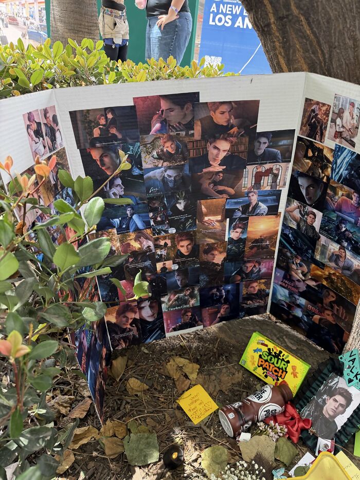 A close-up of images of Valko, the canceled Love and Deepspace love interest, arranged around a tree. A close-up of images of Valko, the canceled Love and Deepspace love interest, arranged around a tree.