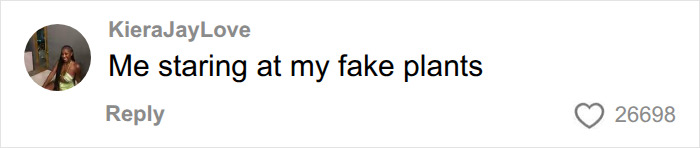 A social media comment showing a person staring at their fake plants.