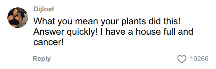 A social media comment asking how plants could cause a dire medical situation, mentioning cancer.