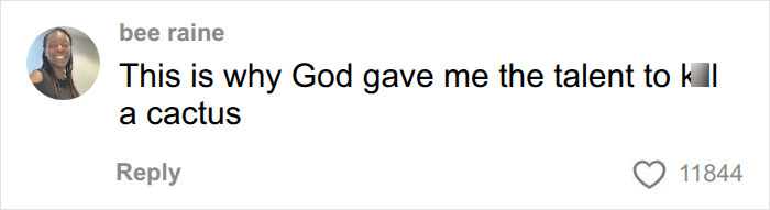 A comment from bee raine about having a talent to k**l a cactus related to the dangers of plants and medical situations.