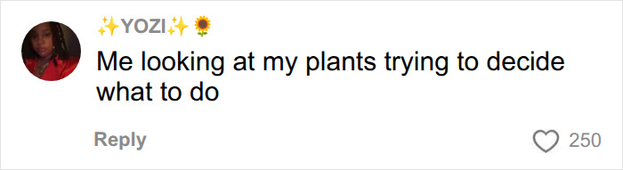 A social media comment from YOZI showing someone contemplating their plants after hearing about the man needing a transplant.