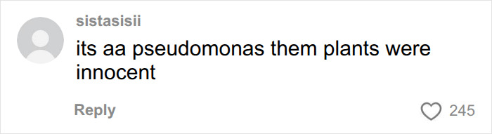 A comment on social media about the medical situation of a man needing a transplant due to his plants.