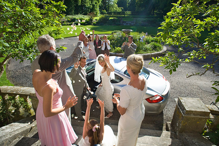 Guests at a wedding scatter rose petals as the happy couple departs, a stark contrast to an entitled man's failed proposal plan.