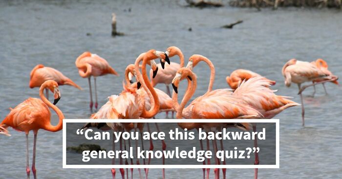 “Can Your Brain Keep Up?”: Link 22 Answers To Their Questions In This Backward Quiz