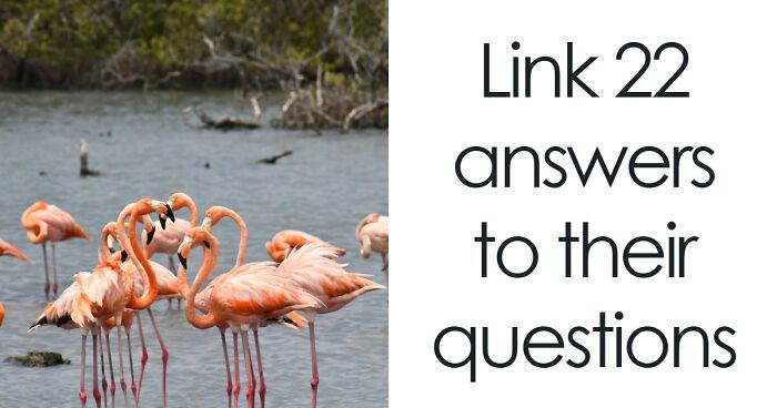 “Can Your Brain Keep Up?”: Link 22 Answers To Their Questions In This Backward Quiz