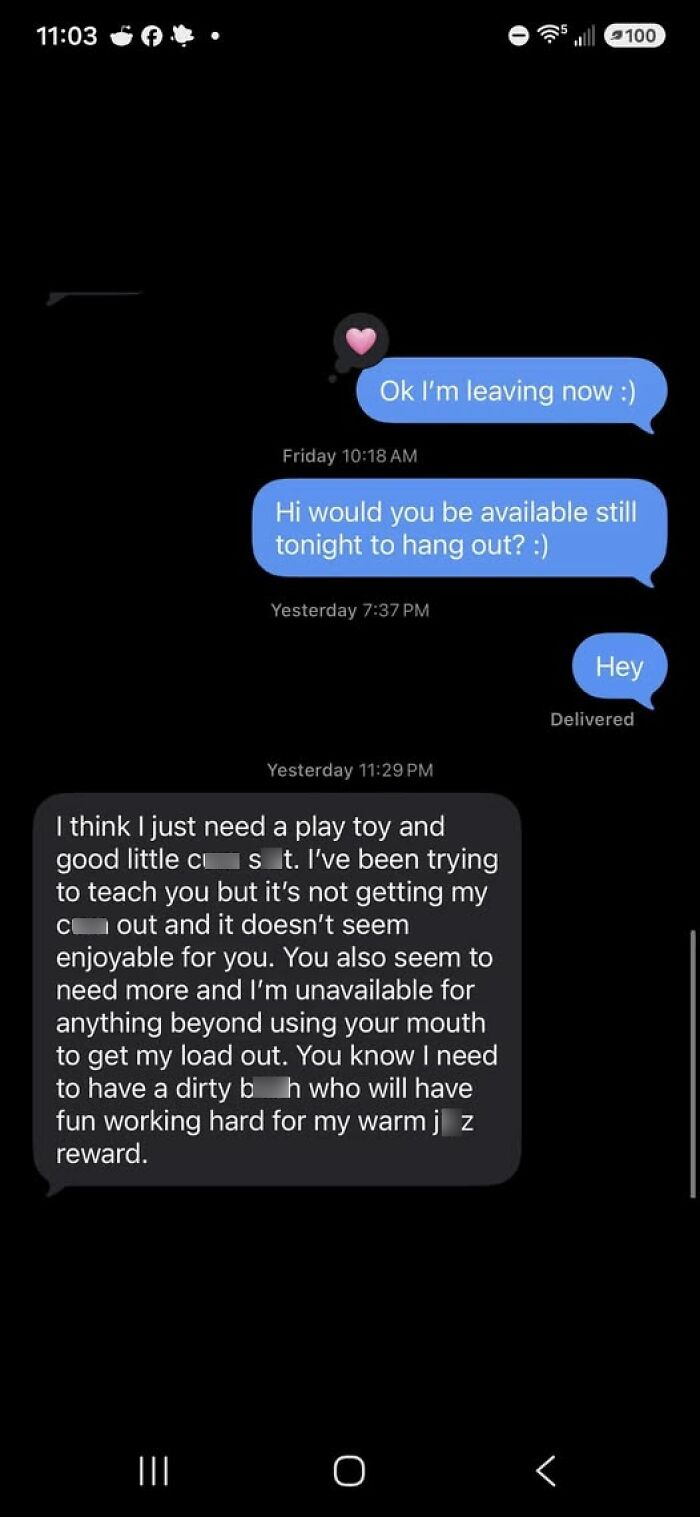 A lengthy, inappropriate text message from a guy, demonstrating a funny example of someone thinking highly of themselves.