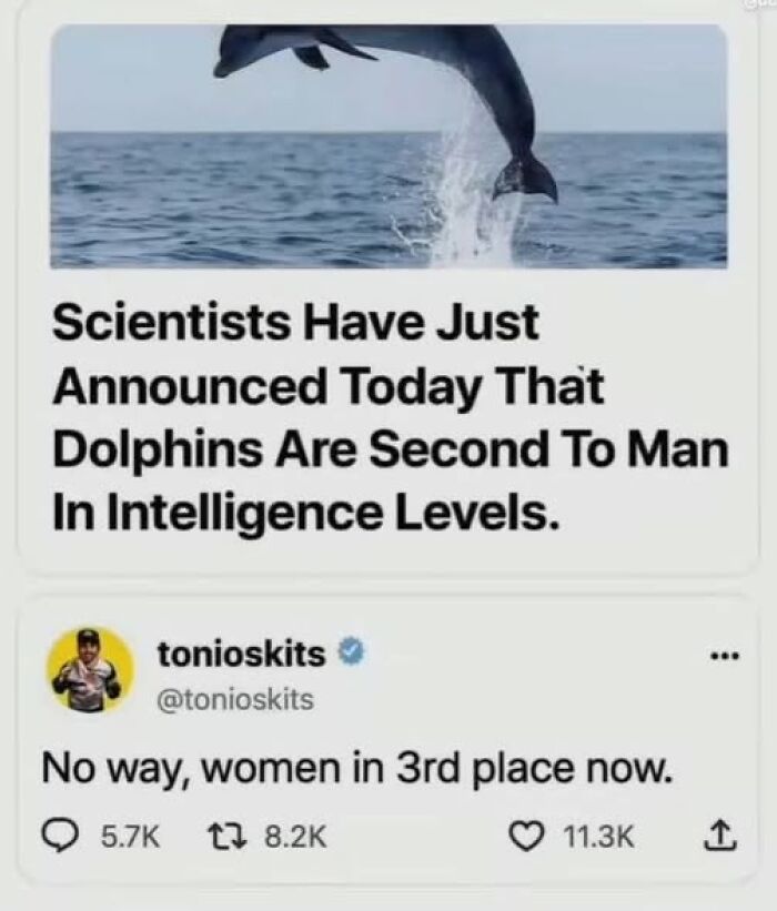 A news article and tweet, a funny example of a guy thinking highly of himself, comparing women's intelligence to dolphins.