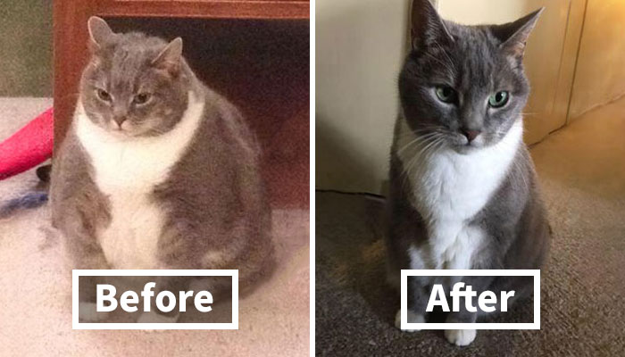 90 Mildly Interesting Before-And-After Photos That Show Just How Much Things Can Change