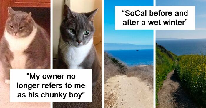 90 Mildly Interesting Before-And-After Photos That Show Just How Much Things Can Change