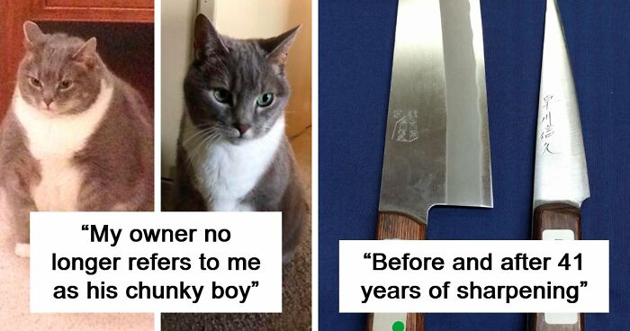 90 Mildly Interesting Before-And-After Photos That Show Just How Much Things Can Change