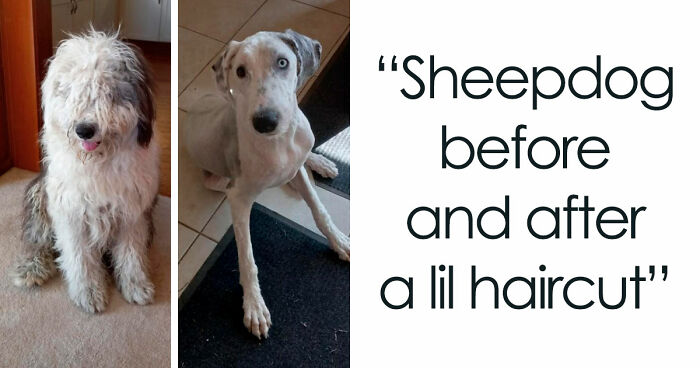 90 Mildly Interesting Before-And-After Photos That Show Just How Much Things Can Change