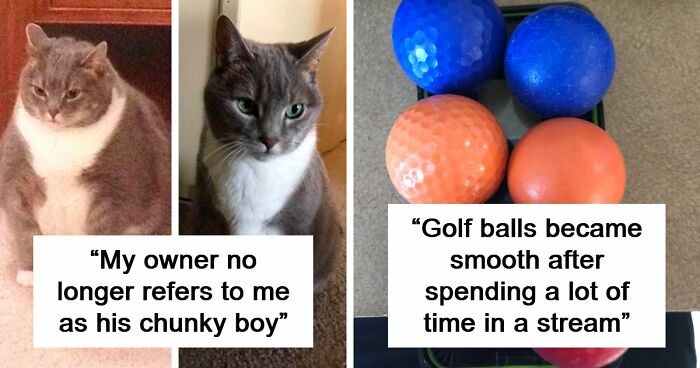 90 Mildly Interesting Before-And-After Photos That Show Just How Much Things Can Change