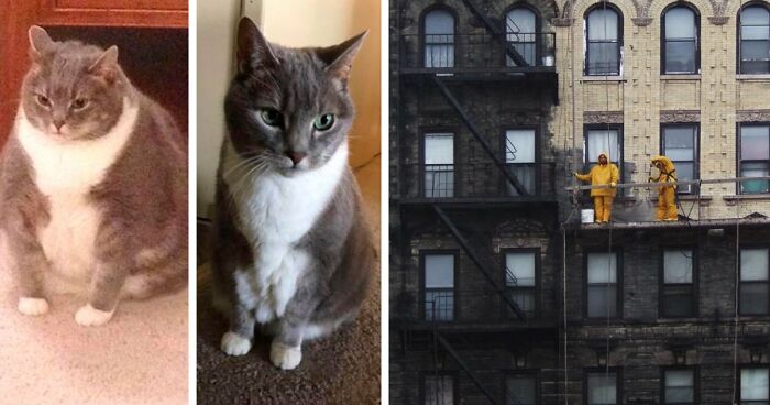 90 Mildly Interesting Before-And-After Photos That Show Just How Much Things Can Change