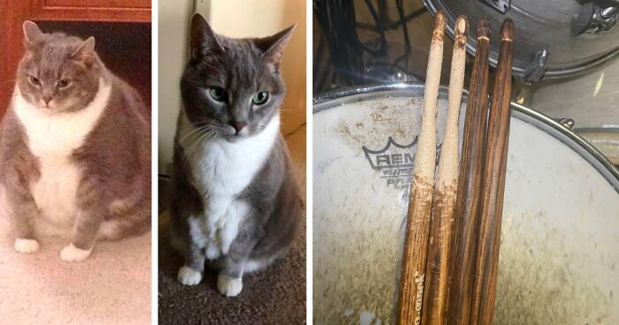 90 Mildly Interesting Before-And-After Photos That Show Just How Much Things Can Change