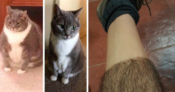 90 Mildly Interesting Before-And-After Photos That Show Just How Much Things Can Change