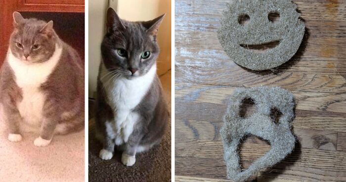 90 Mildly Interesting Before-And-After Photos That Show Just How Much Things Can Change