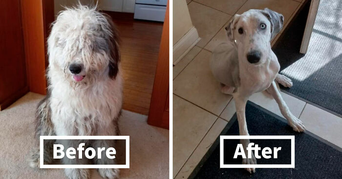 90 Mildly Interesting Before-And-After Photos That Show Just How Much Things Can Change