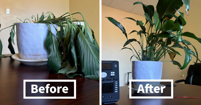 90 Mildly Interesting Before-And-After Photos That Show Just How Much Things Can Change