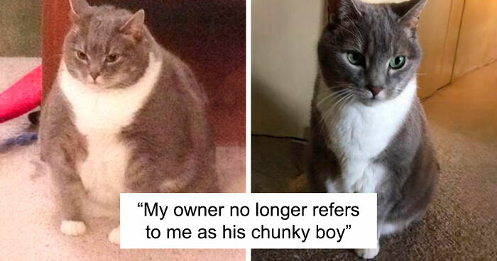 90 Mildly Interesting Before-And-After Photos That Show Just How Much Things Can Change