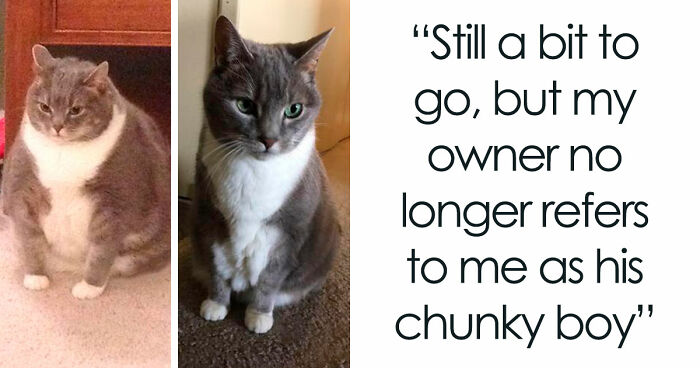 90 Mildly Interesting Before-And-After Photos That Show Just How Much Things Can Change