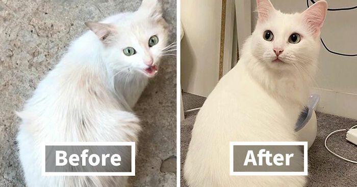 90 Mildly Interesting Before-And-After Photos That Show Just How Much Things Can Change
