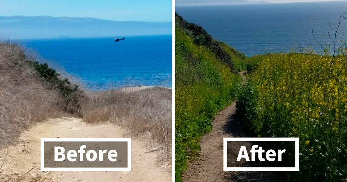 90 Mildly Interesting Before-And-After Photos That Show Just How Much Things Can Change