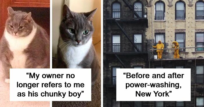 90 Mildly Interesting Before-And-After Photos That Show Just How Much Things Can Change