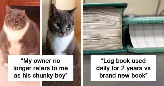 90 Mildly Interesting Before-And-After Photos That Show Just How Much Things Can Change