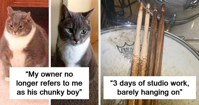 90 Mildly Interesting Before-And-After Photos That Show Just How Much Things Can Change