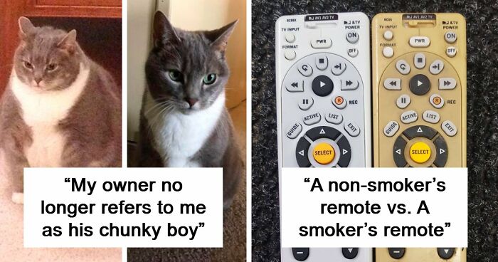 90 Mildly Interesting Before-And-After Photos That Show Just How Much Things Can Change
