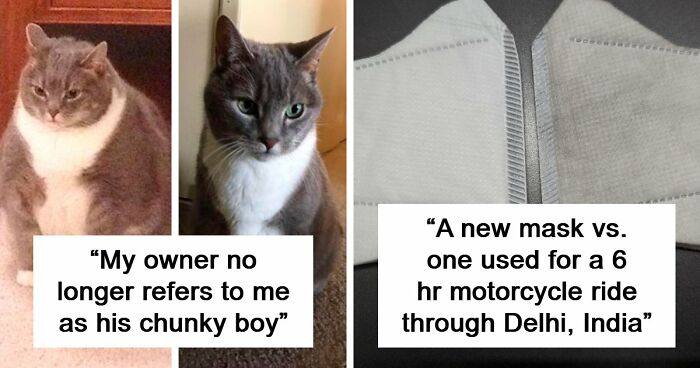 90 Mildly Interesting Before-And-After Photos That Show Just How Much Things Can Change