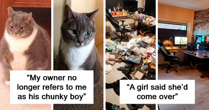90 Mildly Interesting Before-And-After Photos That Show Just How Much Things Can Change