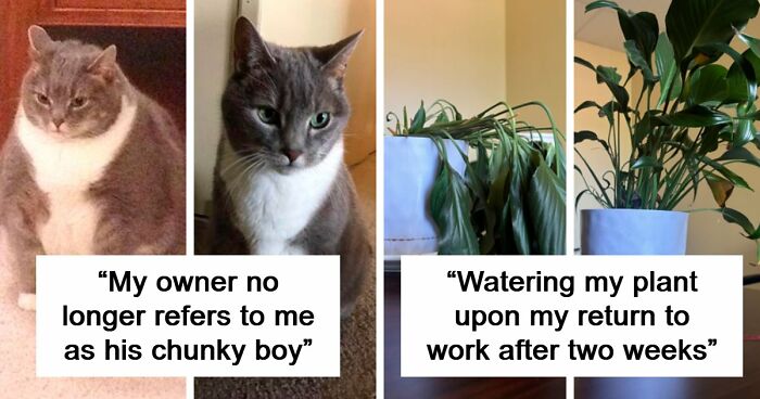 90 Mildly Interesting Before-And-After Photos That Show Just How Much Things Can Change