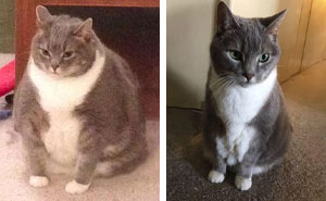 90 Mildly Interesting Before-And-After Photos That Show Just How Much Things Can Change