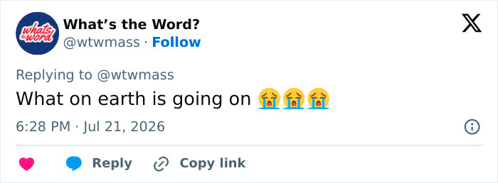 A social media post from 'What's the Word?' asking 'What on earth is going on' with crying emojis, relating to a mime terrorizing women with a cooking oil stunt. A social media post from 'What's the Word?' asking 'What on earth is going on' with crying emojis, relating to a mime terrorizing women with a cooking oil stunt.