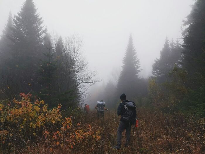 Hikers walk through a foggy forest, creating a mysterious and terrifying 'We Need To Leave Now' atmosphere.