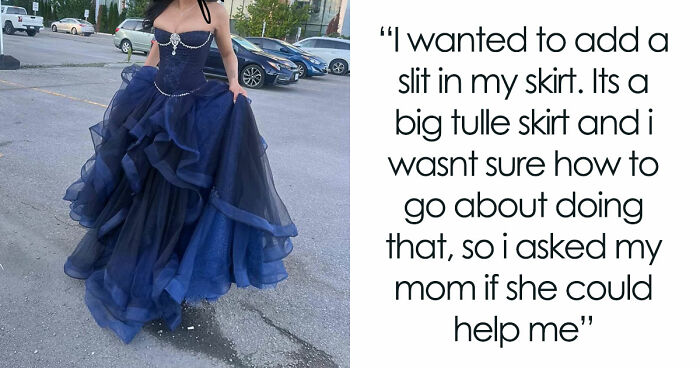 Talented Seamstress Spends 4 Months And $600 On Prom Dress, Insecure Mom Insults How It Looks On Her