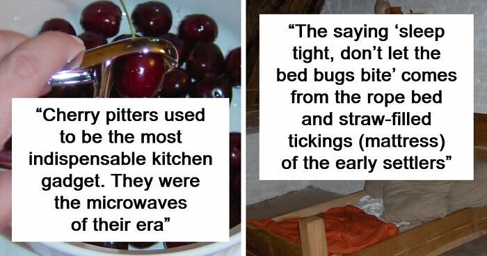 48 Museum Employees Share The Coolest Facts And Experiences From Their Career