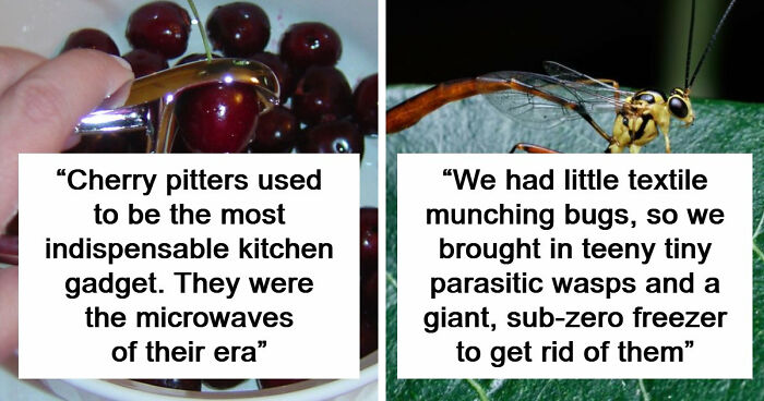 48 Museum Employees Share The Coolest Facts And Experiences From Their Career