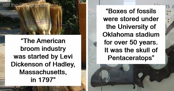 48 Museum Employees Share The Coolest Facts And Experiences From Their Career