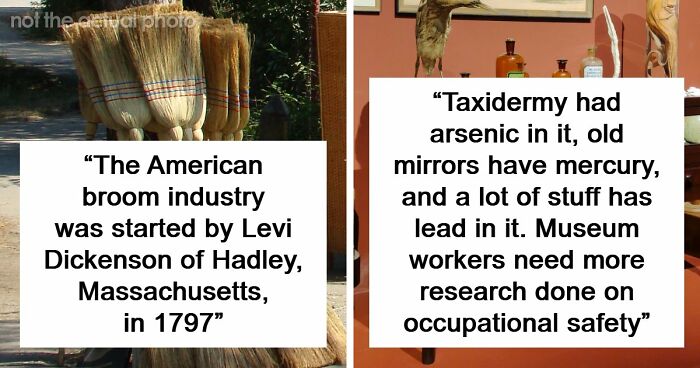 48 Museum Employees Share The Coolest Facts And Experiences From Their Career