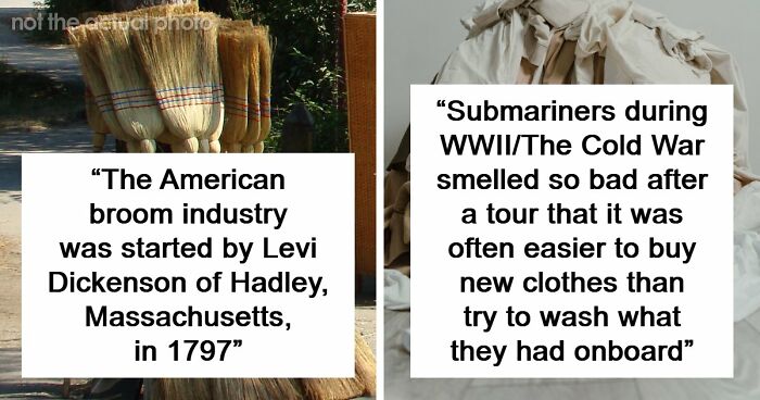 48 Museum Employees Share The Coolest Facts And Experiences From Their Career