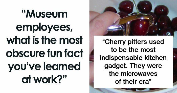 48 Museum Employees Share The Coolest Facts And Experiences From Their Career