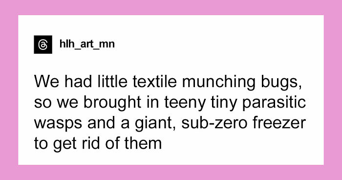 48 Museum Employees Share The Coolest Facts And Experiences From Their Career
