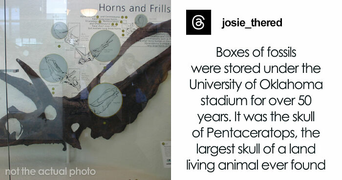 48 Museum Employees Share The Coolest Facts And Experiences From Their Career